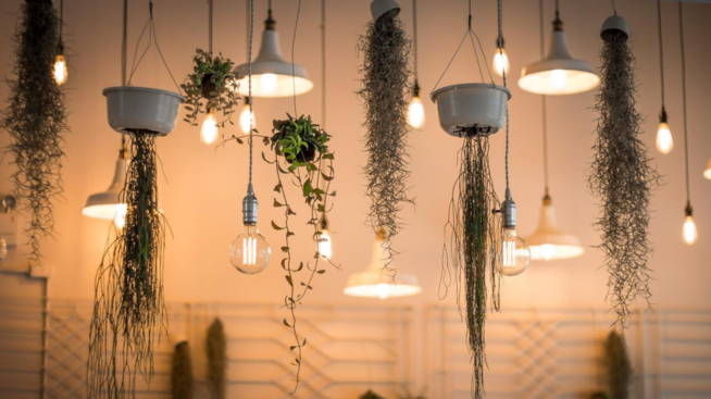 Different Types of LED Ceiling Lamps for Your Home | CHINT global