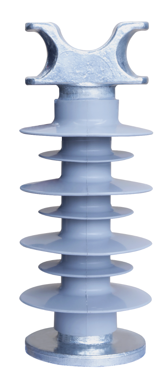 cp-image-1