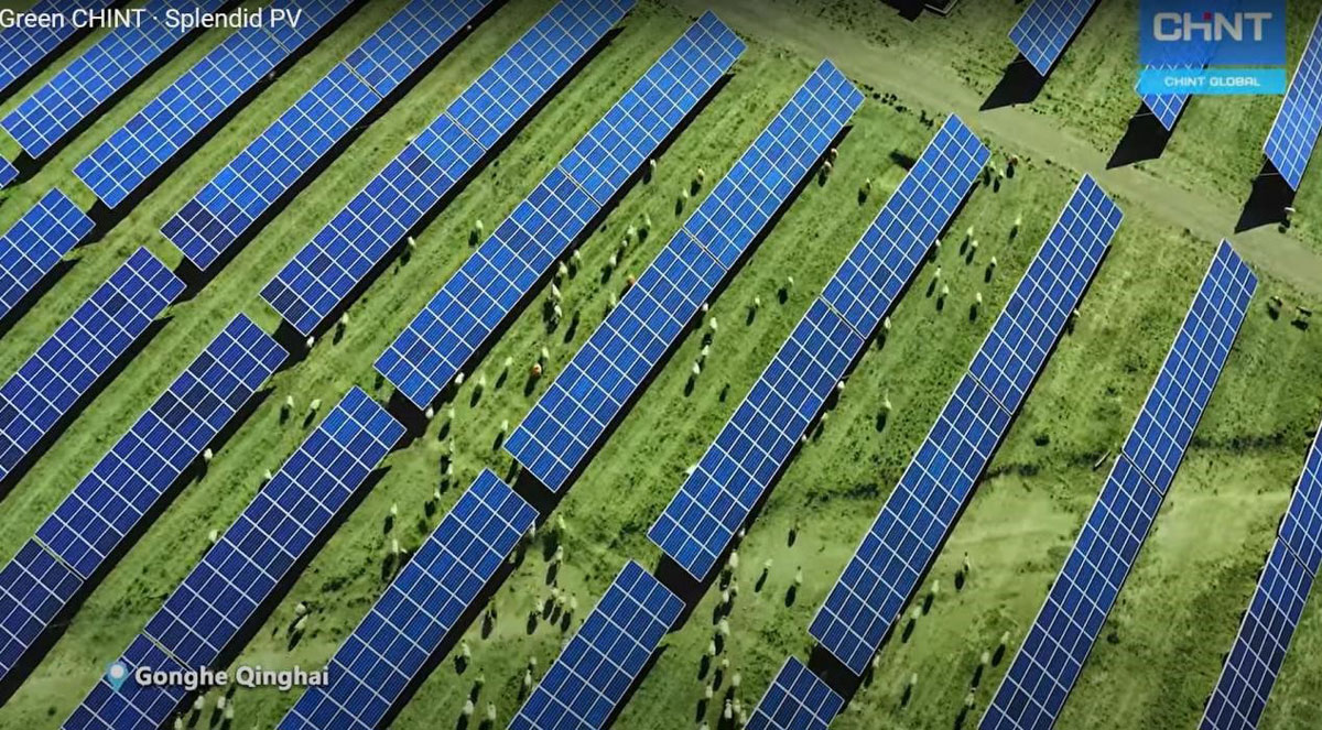 crystalline-solar-panel-20220121