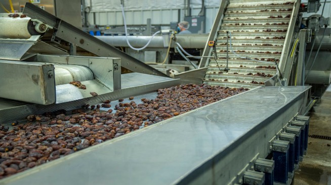 Keeping the Lights On: Power Reliability Strategies for Food & Beverage Facilities