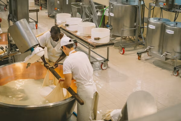 wet food processing