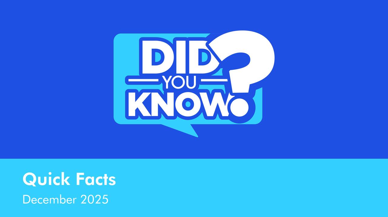 Did you know graphic highlighting CHINT MCB quick facts and global electrical protection expertise, December 2025