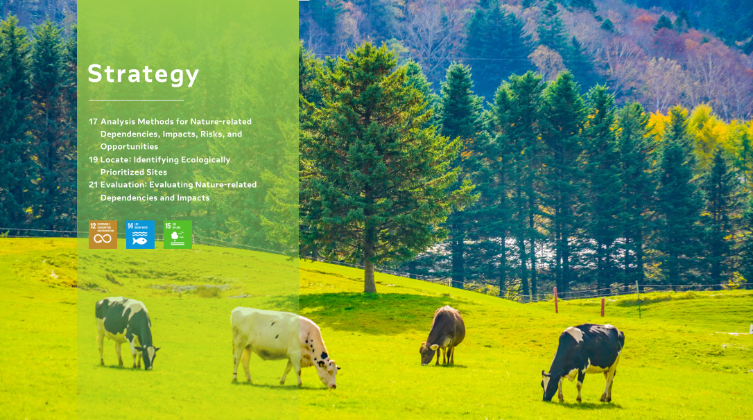 Climate Strategy section page featuring cattle grazing on a green pasture and forest background