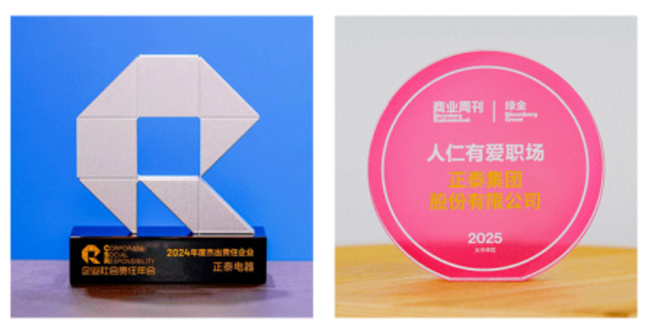 CHINT corporate responsibility and DEI awards, including a 2024 CSR excellence trophy and a 2025 “Caring Workplace” recognition plaque.