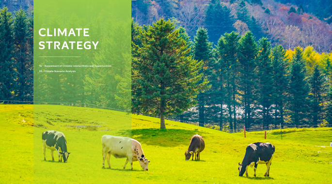 Climate Strategy section page featuring cattle grazing on a green pasture and forest background