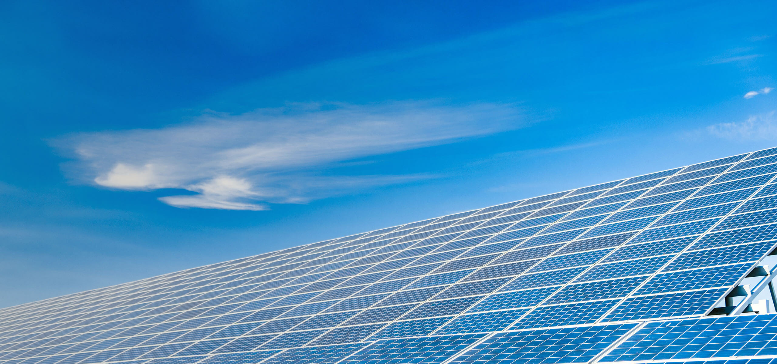 CHINT Electric Co., LTD. 2024 Sustainability Report